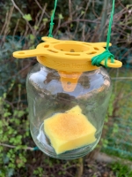 Piège sélectif contre les frelons asiatiques